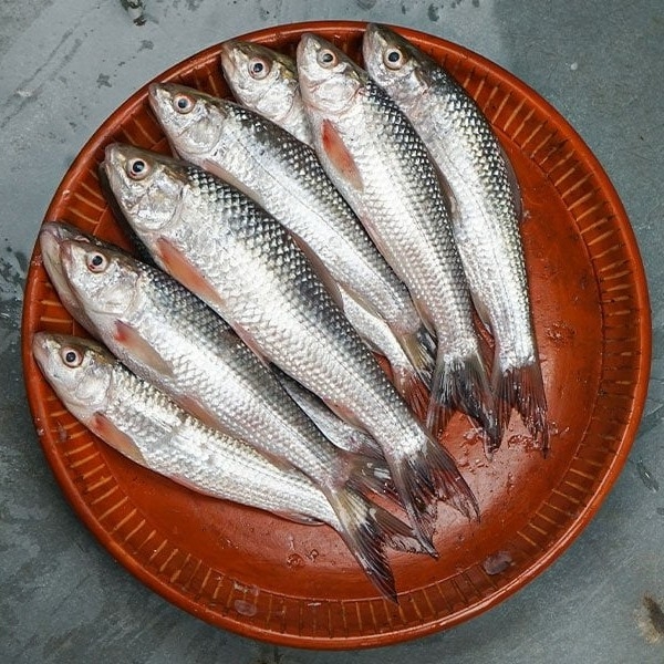 Bata 1 Kg